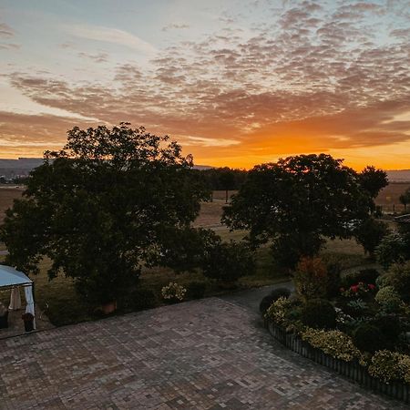 Weingut U. Gaestehaus Vogt-Fehlinger Biebelsheim Zewnętrze zdjęcie