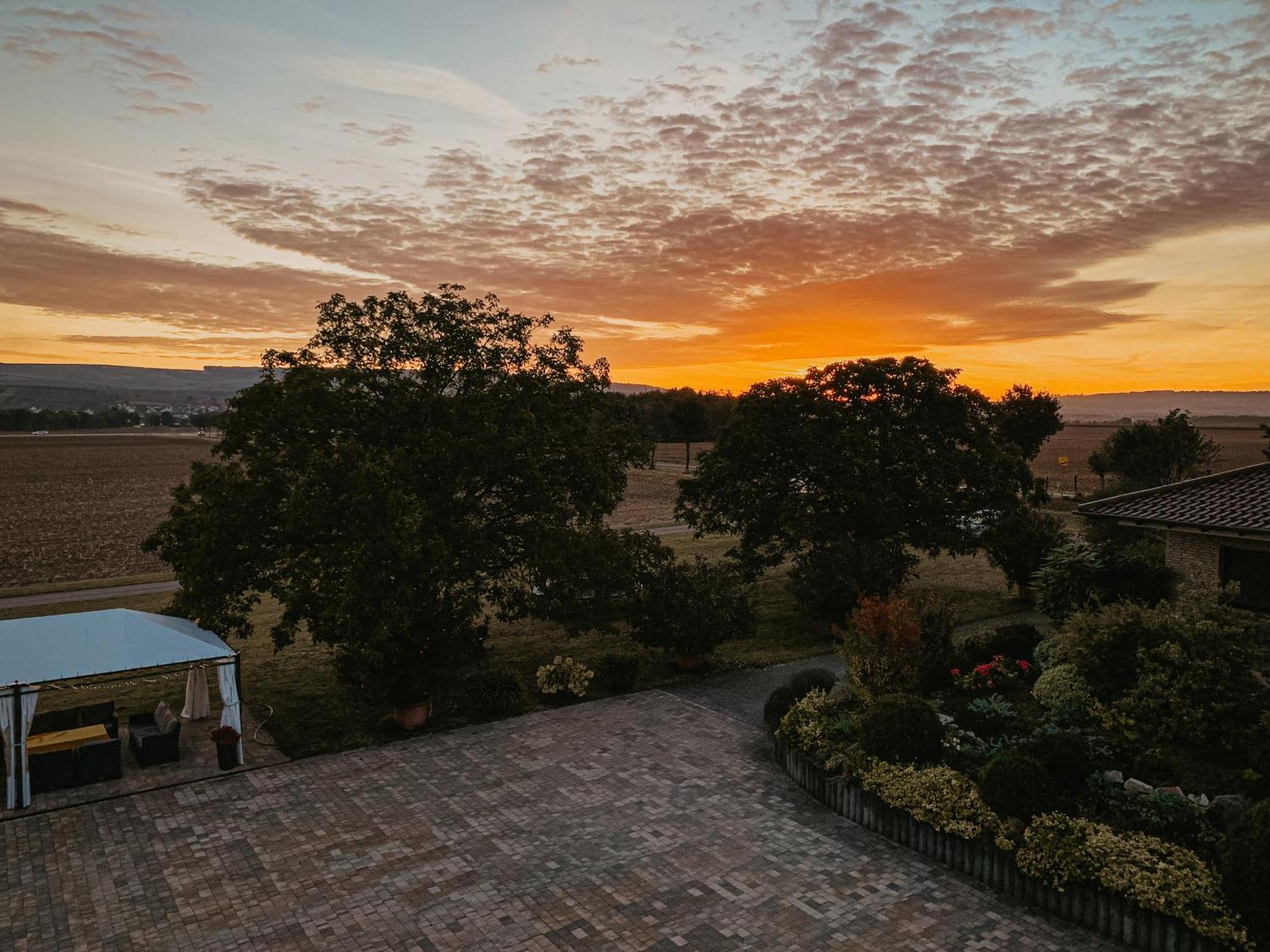 Weingut U. Gaestehaus Vogt-Fehlinger Biebelsheim Zewnętrze zdjęcie